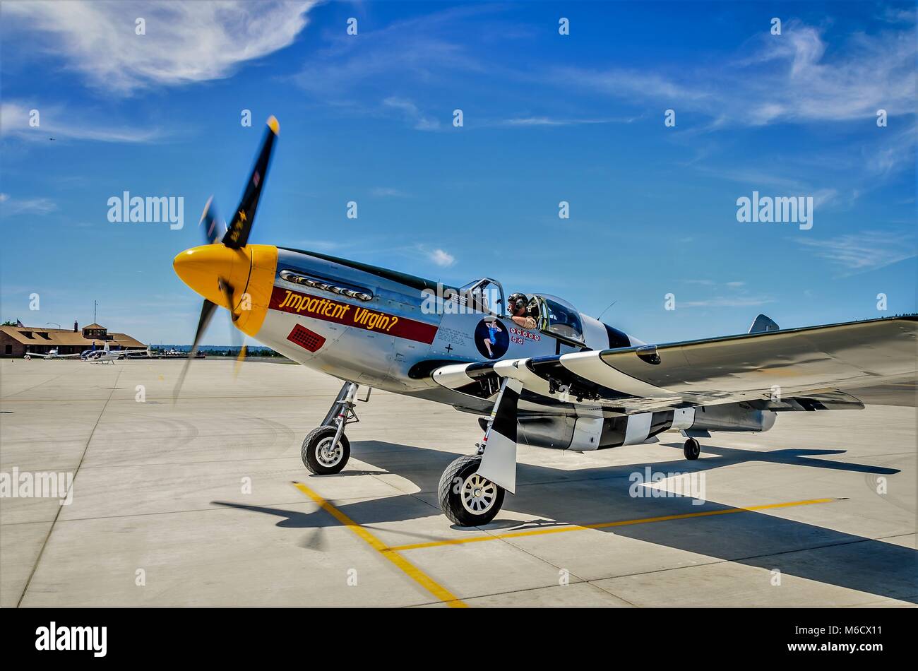 Mustang P-51 Foto Stock
