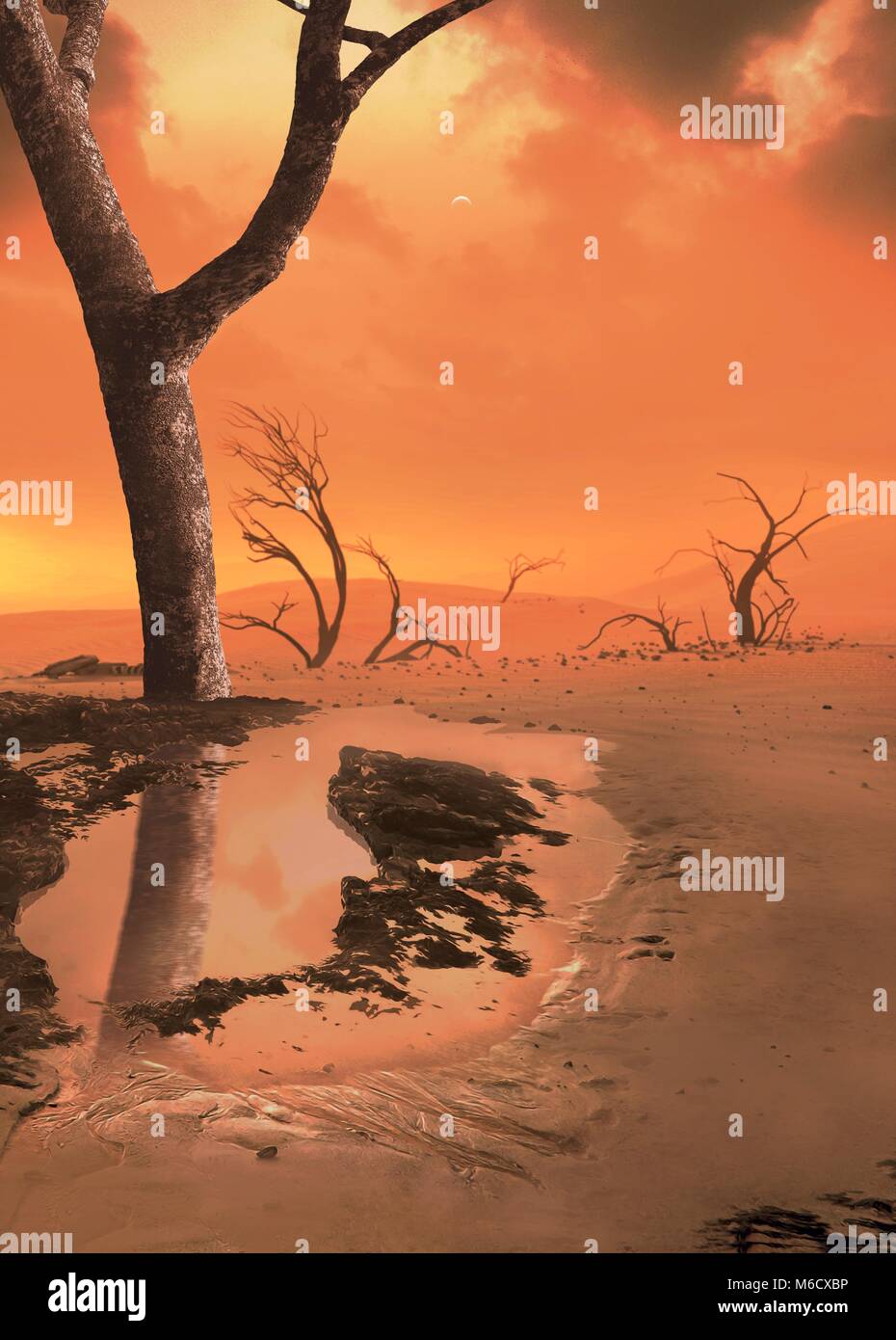 La terra si avvia a diventare inabitabile a lungo prima che il Sole stesso muore. In circa un miliardo di anni il sole sarà di circa il dieci per cento più luminosa di oggi. Asciugare i fori di irrigazione, simile a quella mostrata qui, sarà molto più comuni di quanto lo sono oggi come il pianeta diventa lentamente una calda e umida cimitero per alberi e grandi animali terrestri Foto Stock