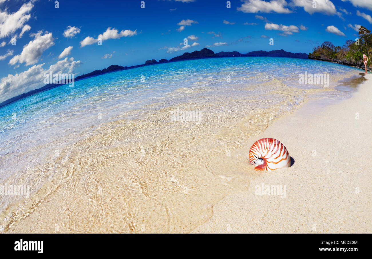 Tropical Beach, Sud Cina vedi, El-Nido, Filippine, fisheye shot Foto Stock