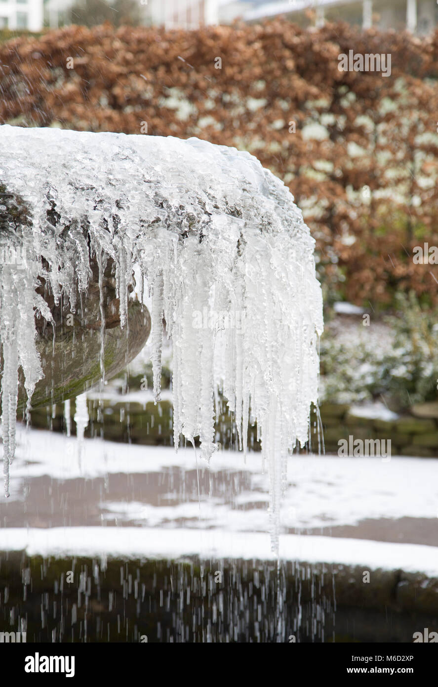 Birmingham Botanical Gardens. 28 Feb, 2018. Regno Unito: Meteo fontana congelati a Birmingham ai Giardini Botanici di credito: lisa robinson/Alamy Live News Foto Stock