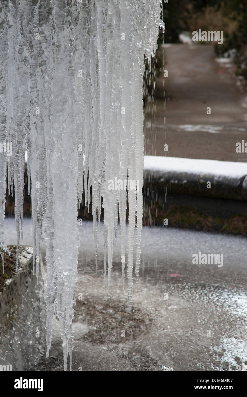 Birmingham Botanical Gardens. 28 Feb, 2018. Regno Unito: Meteo fontana congelati a Birmingham ai Giardini Botanici di credito: lisa robinson/Alamy Live News Foto Stock