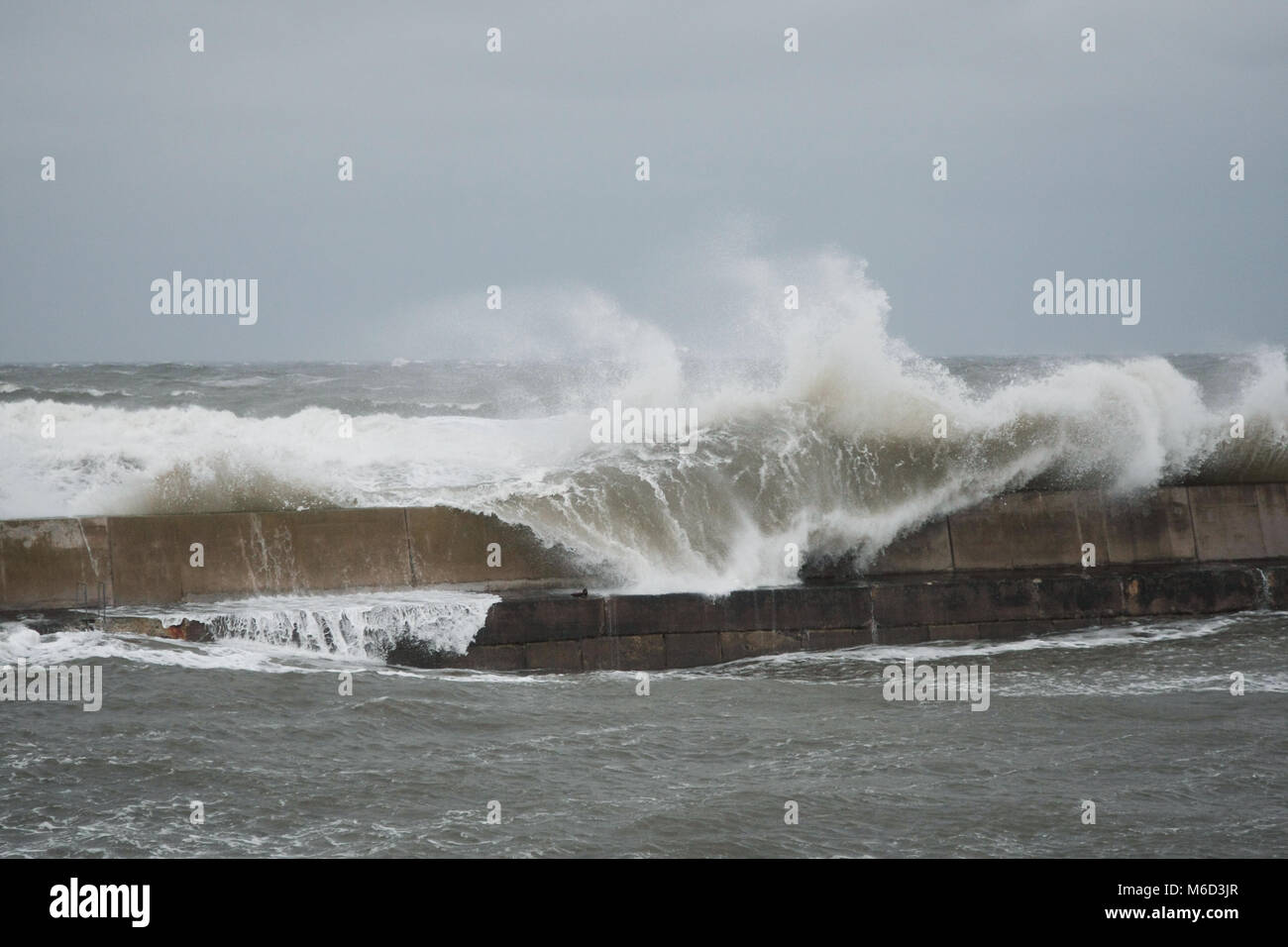 Alta venti si combinano con la molla di marea per produrre onde enormi sulla costa Northumbrian a Seahouses. Foto Stock