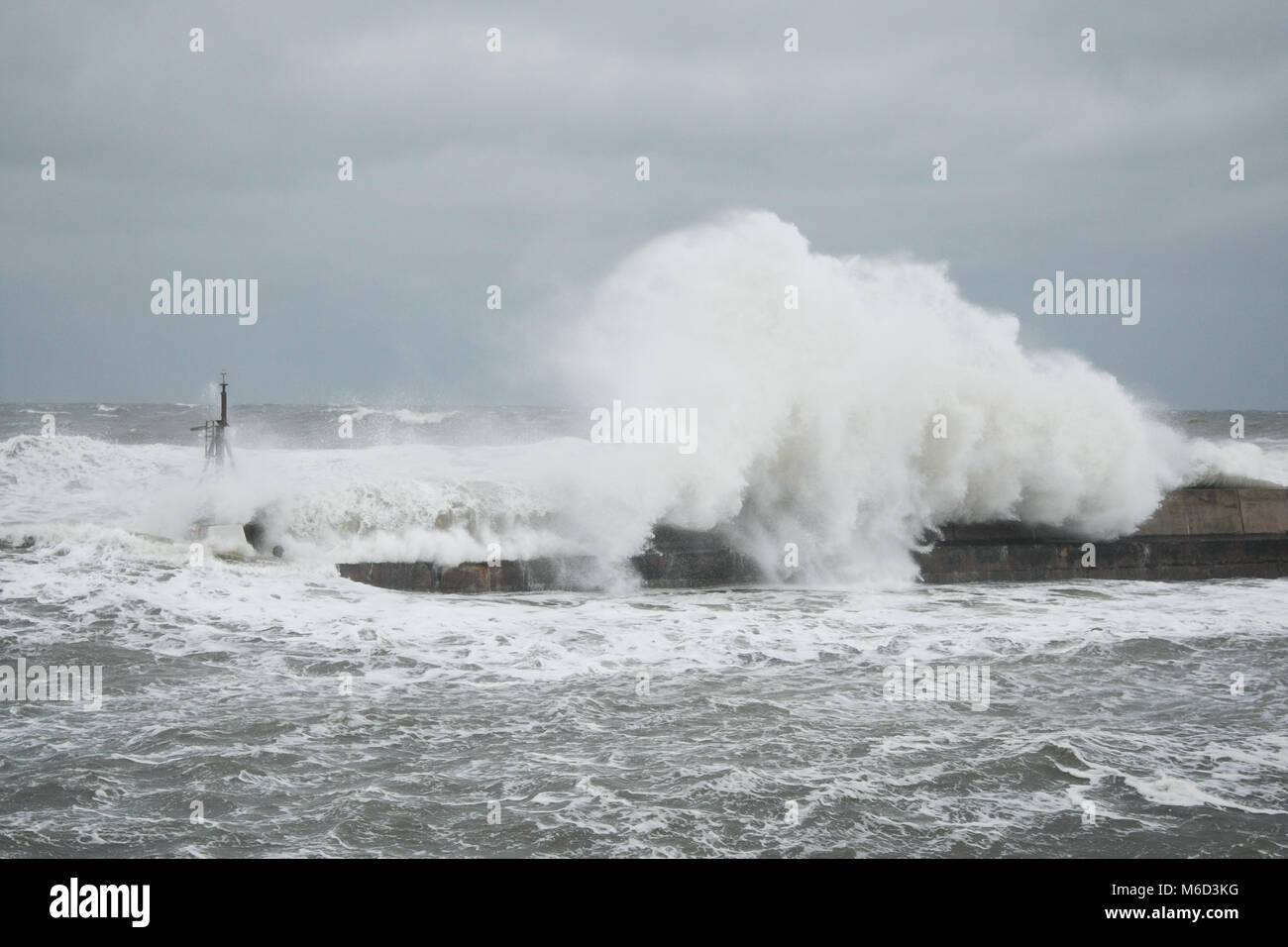 Alta venti si combinano con la molla di marea per produrre onde enormi sulla costa Northumbrian a Seahouses. Foto Stock