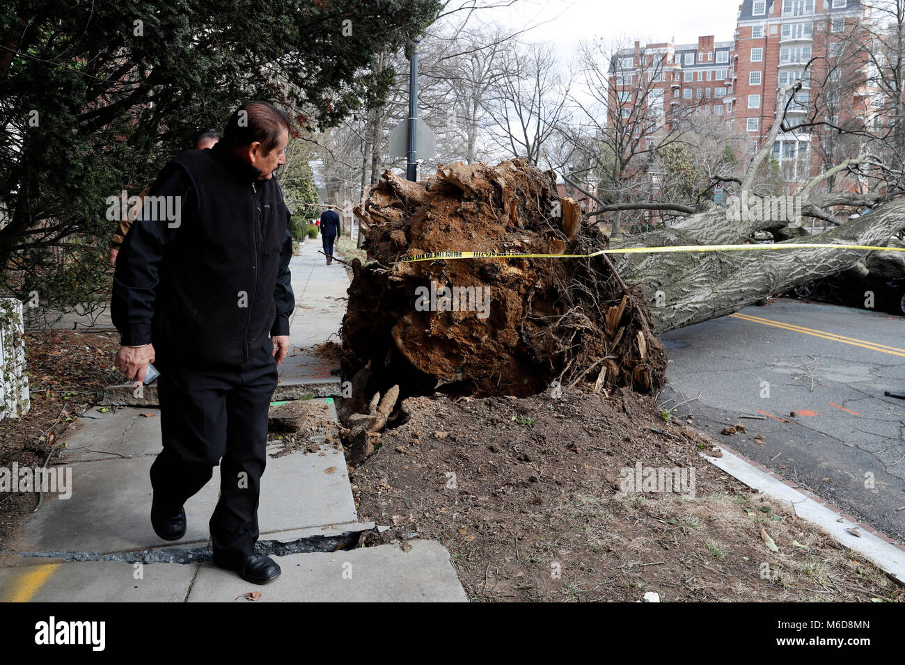 Washington, Stati Uniti d'America. 2 Mar, 2018. Un pedone guarda un albero soffiato verso il basso dal forte vento che ha bloccato la parte di Woodley Road NW in Washington, DC, Stati Uniti, il 2 marzo 2018. Venti forti, heavy rain, onde spumeggianti e sporadico snow fanno strage attraverso gli Stati Uniti Costa est di venerdì, già lasciando migliaia di voli annullati, potenza messo k.o. in parte di Washington DC e oltre 22 milioni di residenti al di sotto di un Allarme costiero alluvione. Credito: Li Muzi/Xinhua/Alamy Live News Foto Stock