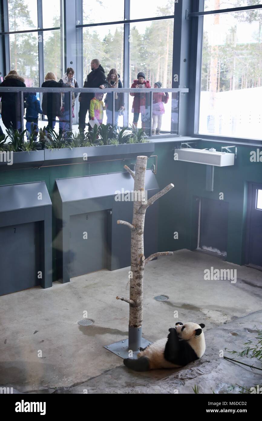 Ahtari. 2 Mar, 2018. La gente guarda panda gigante Hua Bao mangiare bamboo presso il giardino zoologico Ahtari in Finlandia il 2 marzo 2018. Il maschio, Hua Bao e la femmina, Jin Baobao, arrivando in Finlandia il 7 gennaio 18 sono la prima coppia di cinesi panda giganti vivono nei paesi nordici. Credito: Zhang Xuan/Xinhua/Alamy Live News Foto Stock