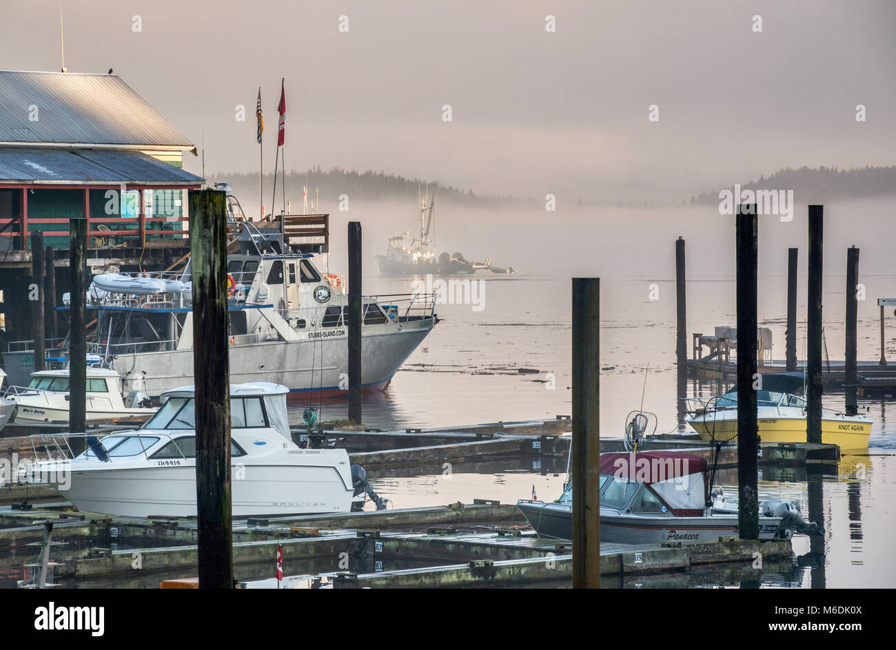 Barche a marina, nebbia mattutina, Boardwalk villaggio a Telegraph Cove, Nord Isola di Vancouver, British Columbia, Canada Foto Stock