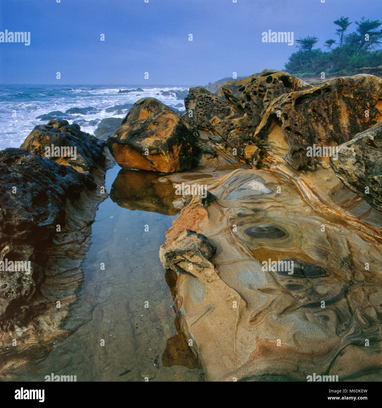 Pietra arenaria, Del Mar punto preservare ecologici, Sea Ranch, Sonoma County, California Foto Stock