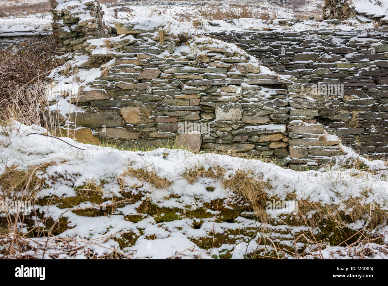 Vecchio abbandonato cottage in pietra ricoperta di neve durante la tempesta Emma sull' isola Valentia, nella contea di Kerry, Irlanda Foto Stock