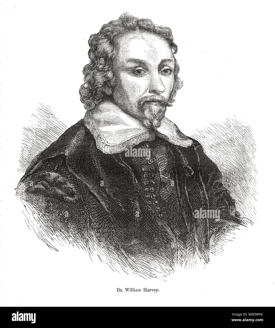 Dr William Harvey, medico di Charles I. medico inglese (1578-1657) che ha teorizzato la circolazione del sangue Foto Stock