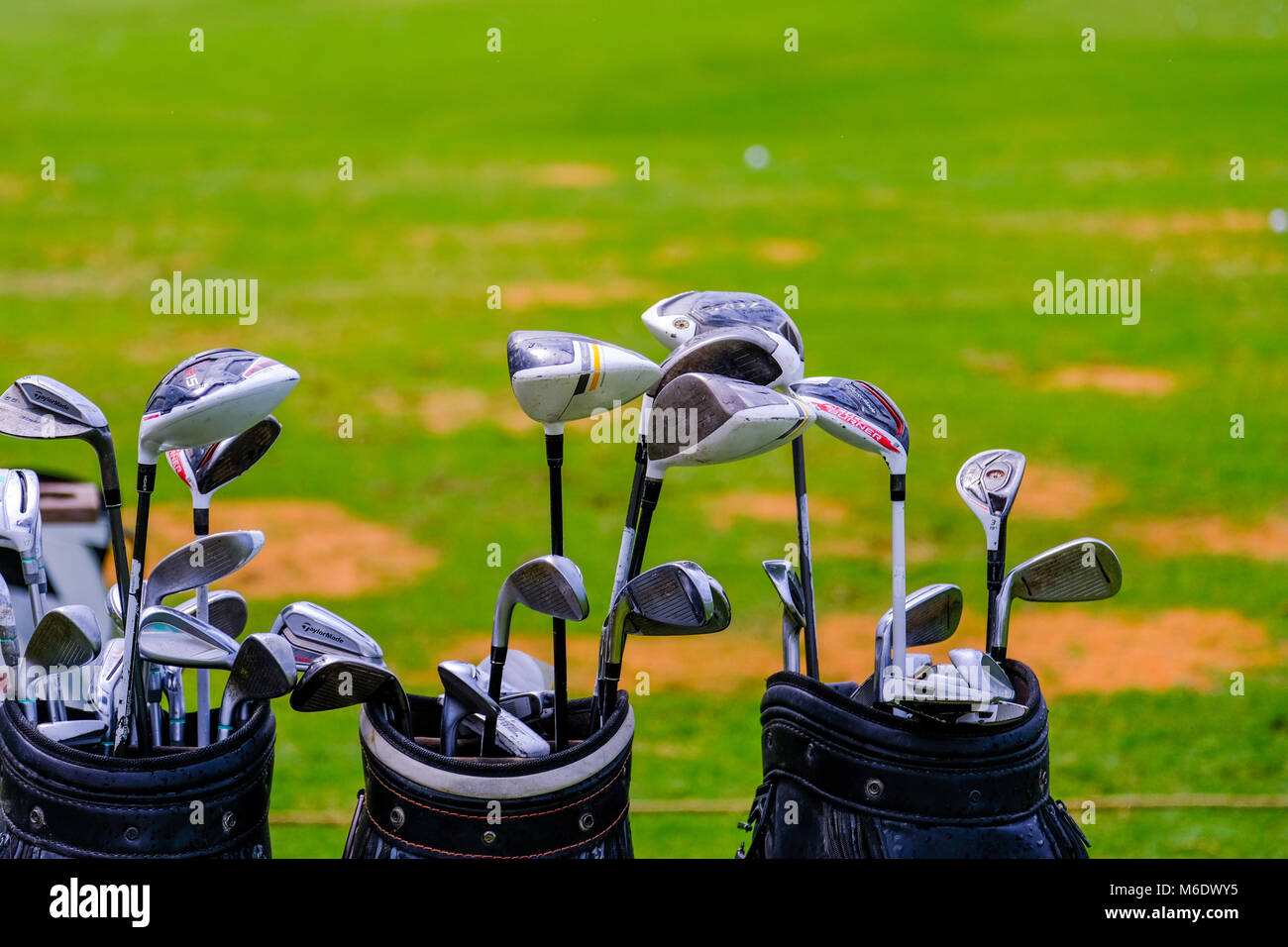 Set di mazze da golf / Golf di ferro in Borsa da golf Foto Stock