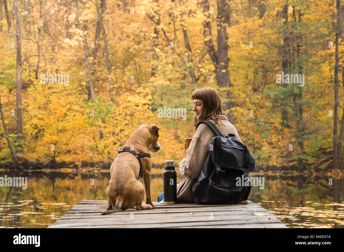 Giovane persona di sesso femminile e il suo staffordshire terrier cucciolo avente un periodo di riposo dal lago sulla splendida giornata di ottobre dell'estate indiana Foto Stock