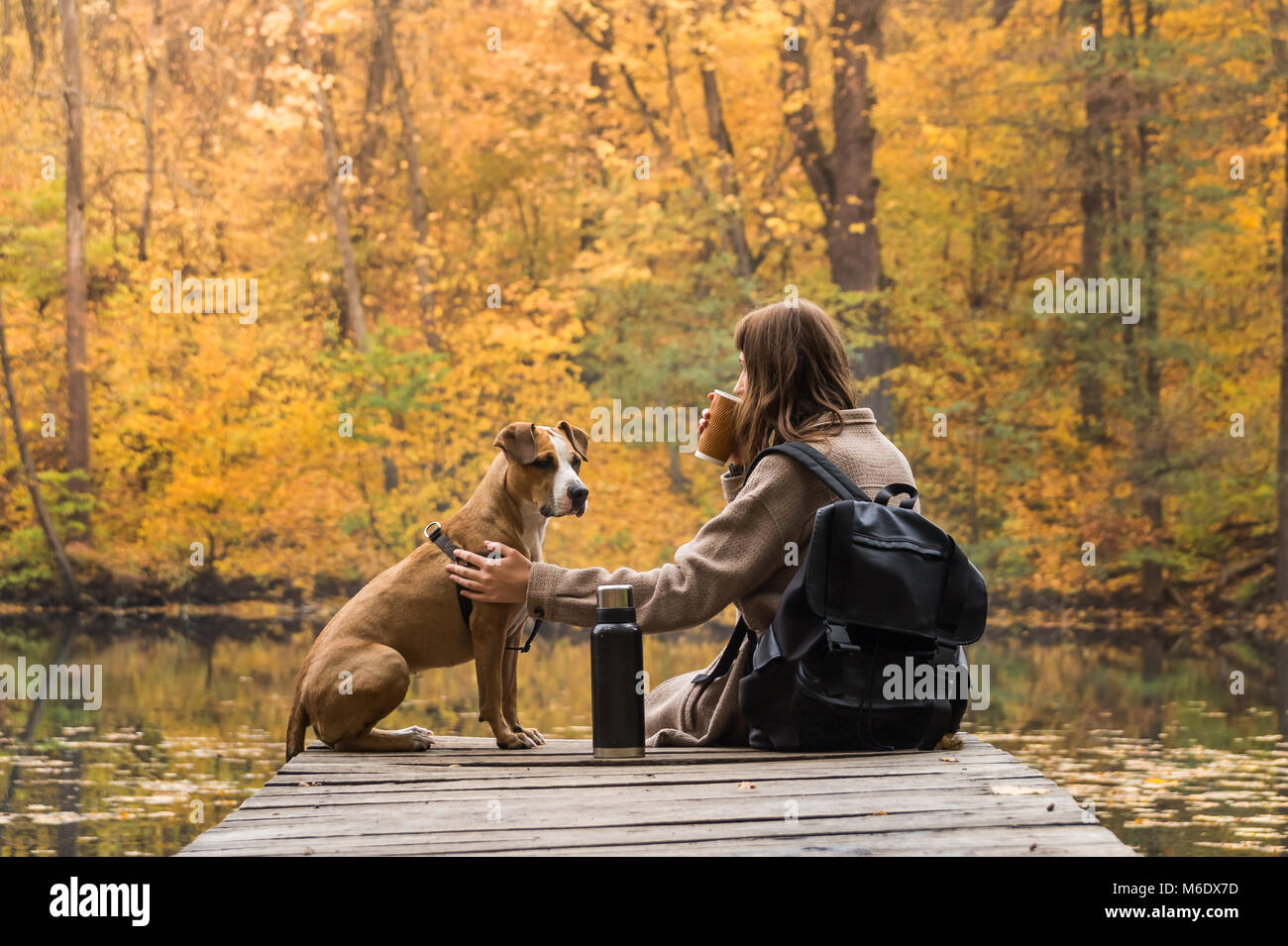 Giovane femmina su un viaggio al parco naturale avente resto vicino al lago con il suo cane e guardando al luminoso giallo autunno alberi Foto Stock