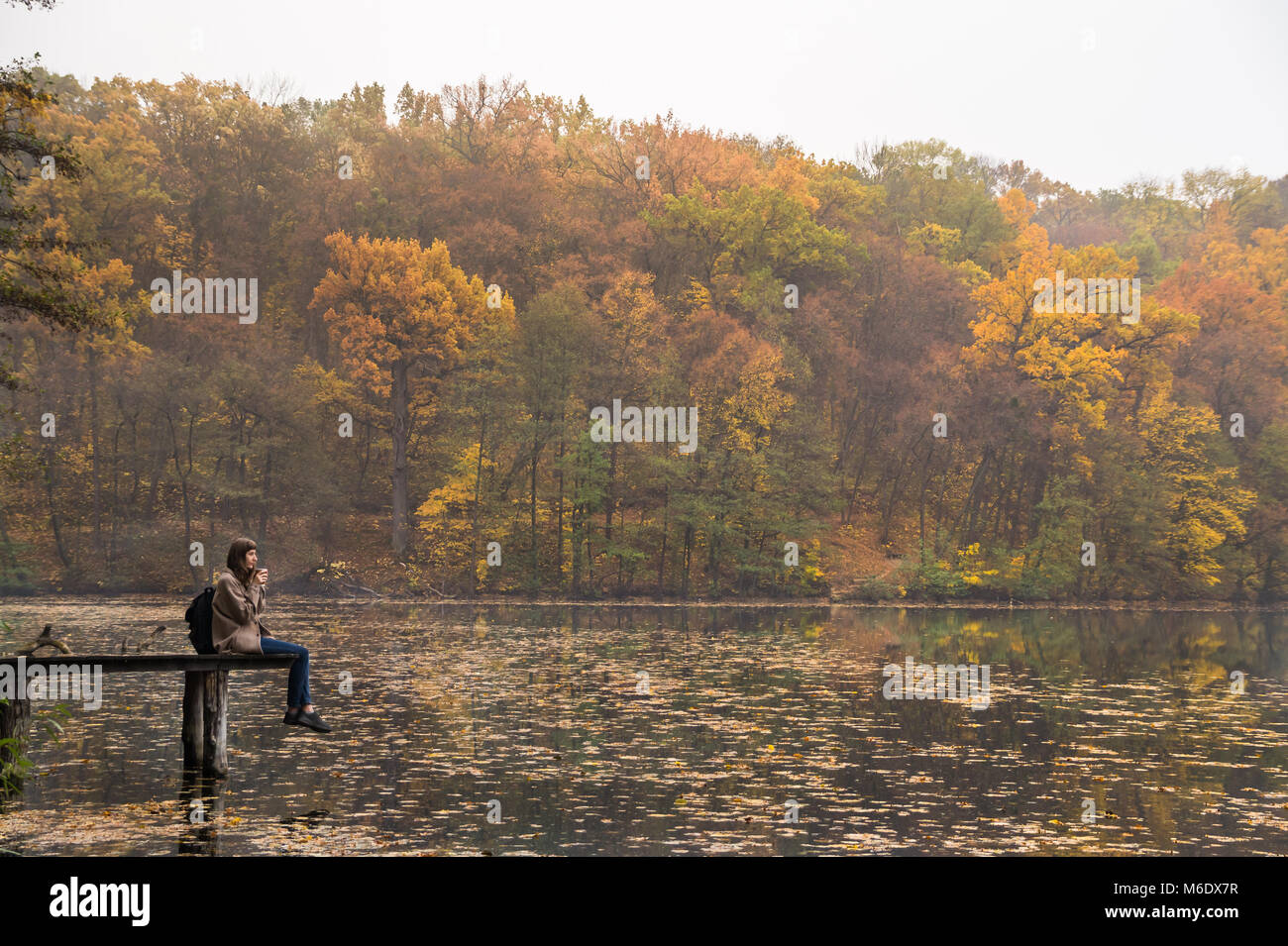 Ragazza gode di riposo e beve caffè vicino al lago presso il parco di natura su oro mellow giorni di autunno Foto Stock