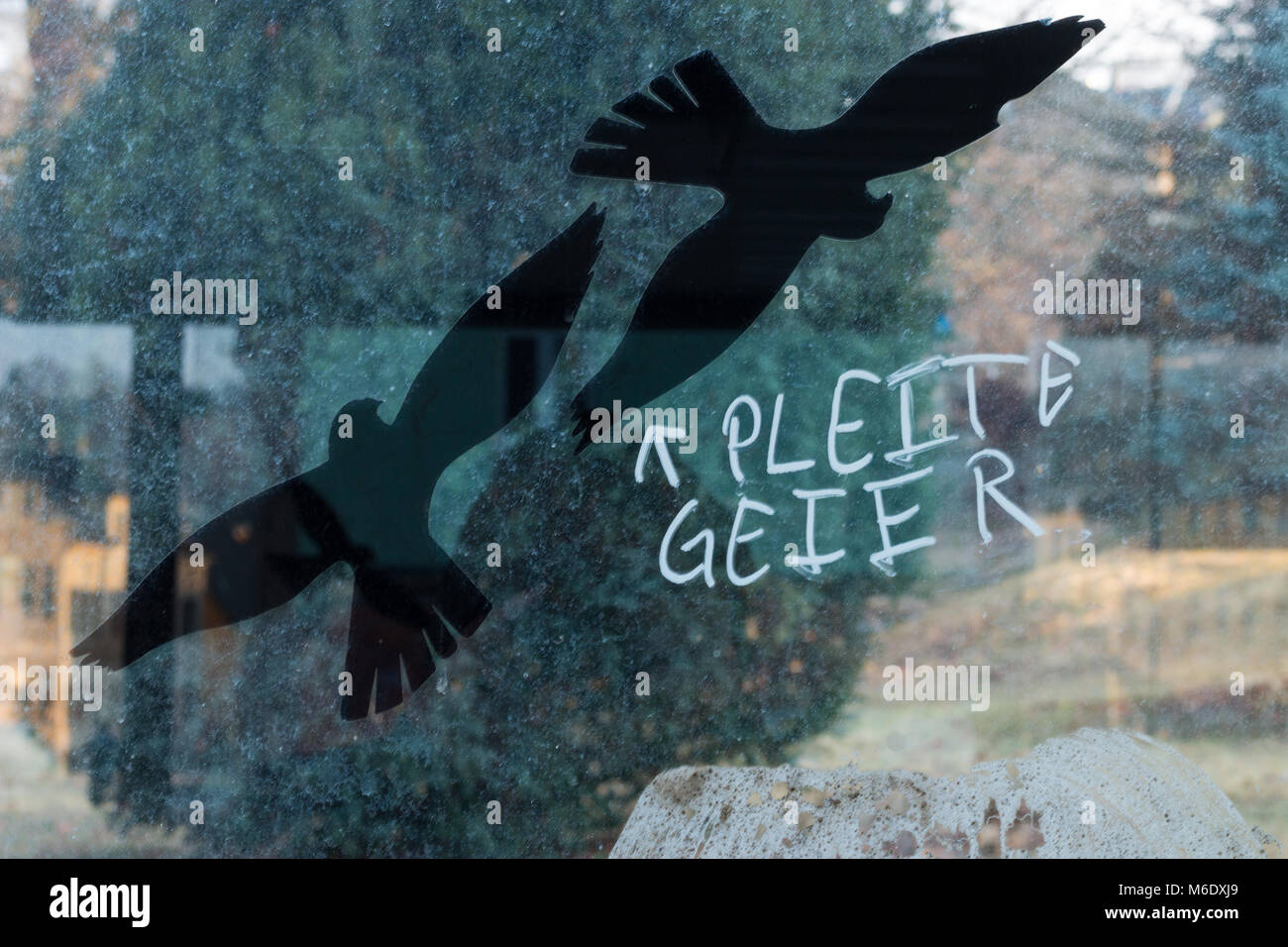 Mylau, Germania - Marzo 2,2018: immagine simbolo per il fallimento o la mancanza di denaro. Due piccioni con la scritta 'Fallimento' Avvoltoio. Foto Stock
