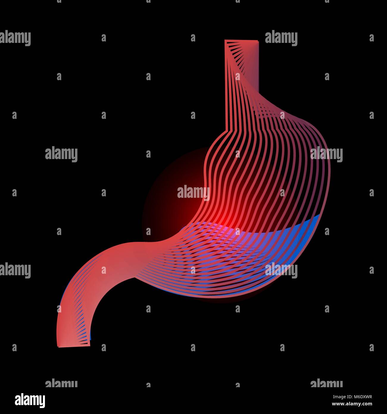 Icona dello stomaco. Human organi interni simbolo. Apparato digerente anatomia.illustrazione delle ulcere dello stomaco. Il cancro dello stomaco. 10eps Illustrazione Vettoriale