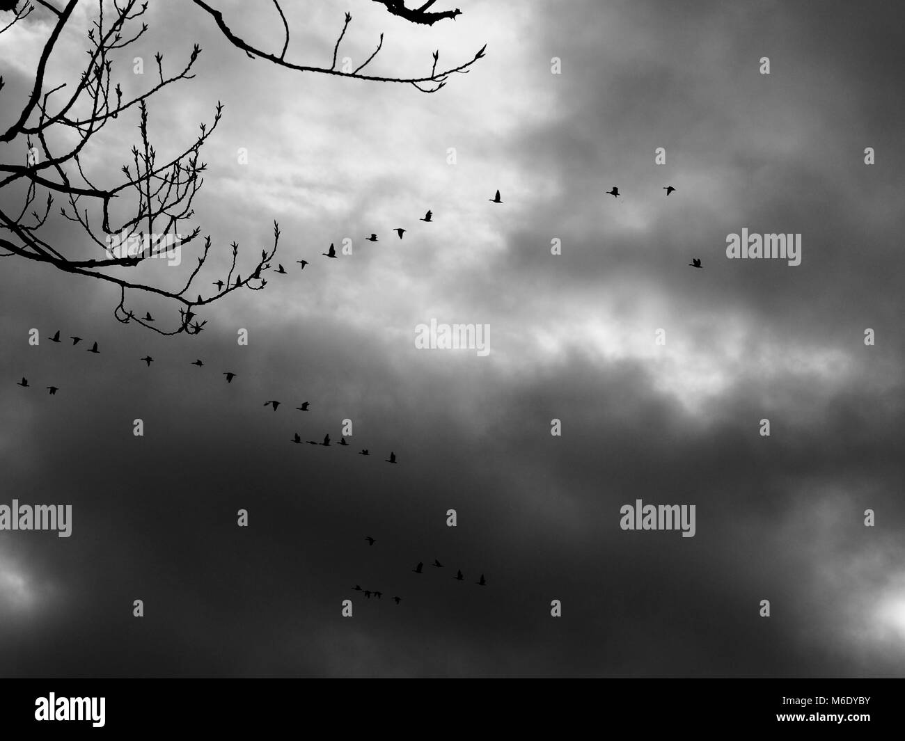 North Norfolk in tutte le stagioni Foto Stock