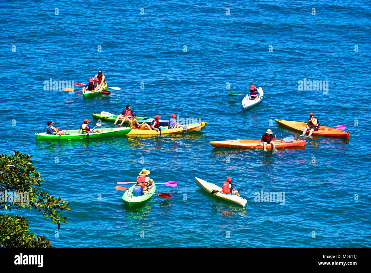 La raccolta in kayak Foto Stock