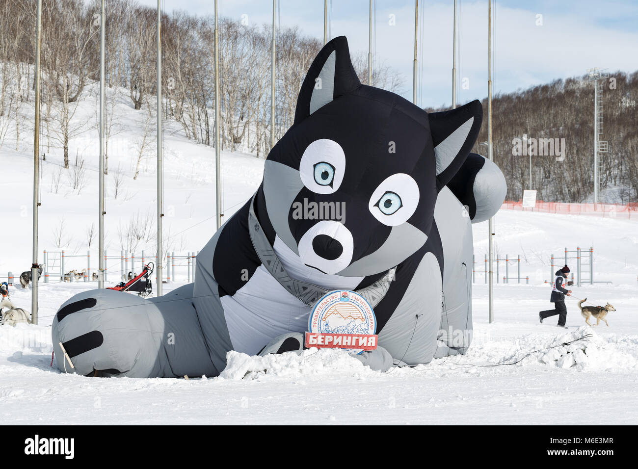 Penisola di Kamchatka: pneumatico gonfiabile figura di husky sled dog a stadium - simbolo della Kamchatka tradizionale Sled Dog Race Beringia. Foto Stock