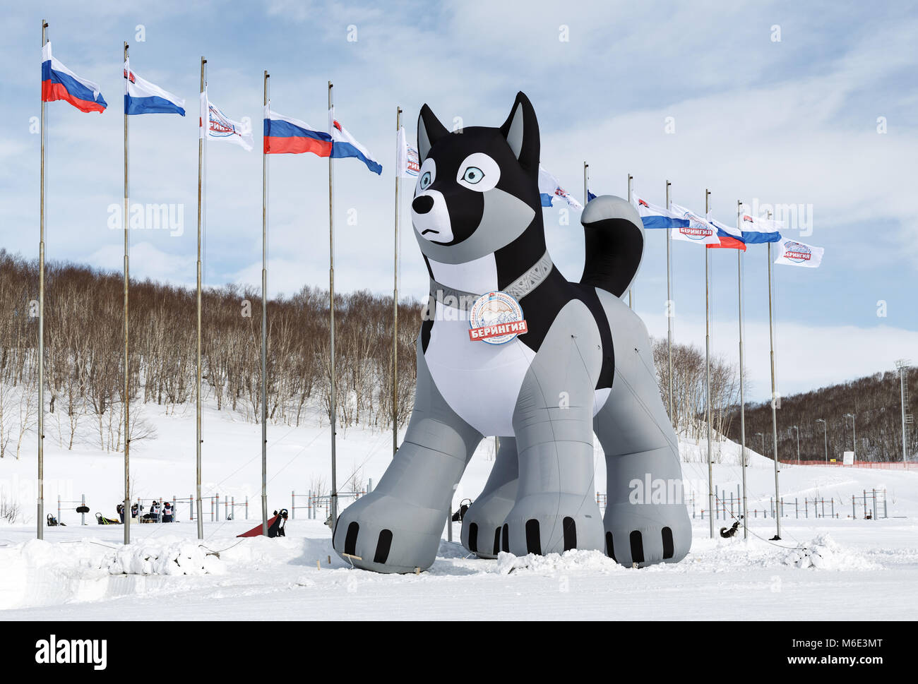 Penisola di Kamchatka: figura gonfiabile di husky sled dog a stadium di Petropavlovsk Kamchatsky città - simbolo della Kamchatka Sled Dog Race Beringia Foto Stock