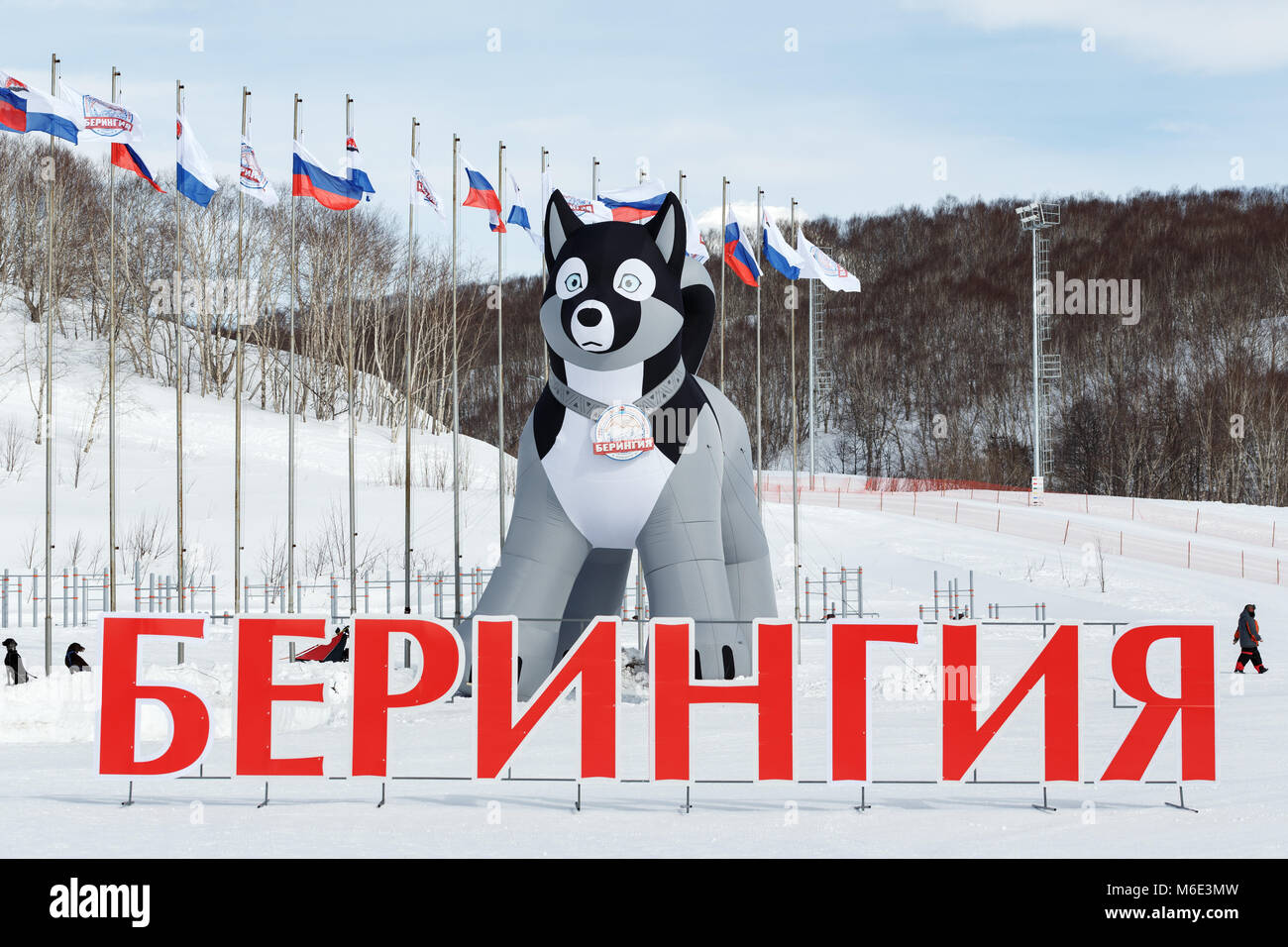 Penisola di Kamchatka: pneumatico figura di husky Sled Dog - simbolo della Kamchatka corsa di cani da slitta Beringia, iscrizione in russo in lettere rosse: Berinigia Foto Stock