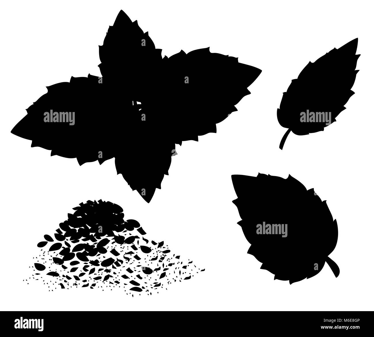 Sagome di origano vettore set. Origano isolato pianta con foglie. A base di erbe stile inciso illustrazione. Dettaglio prodotto organico sketch. La cottura di ingrediente piccante sito Web design Illustrazione Vettoriale