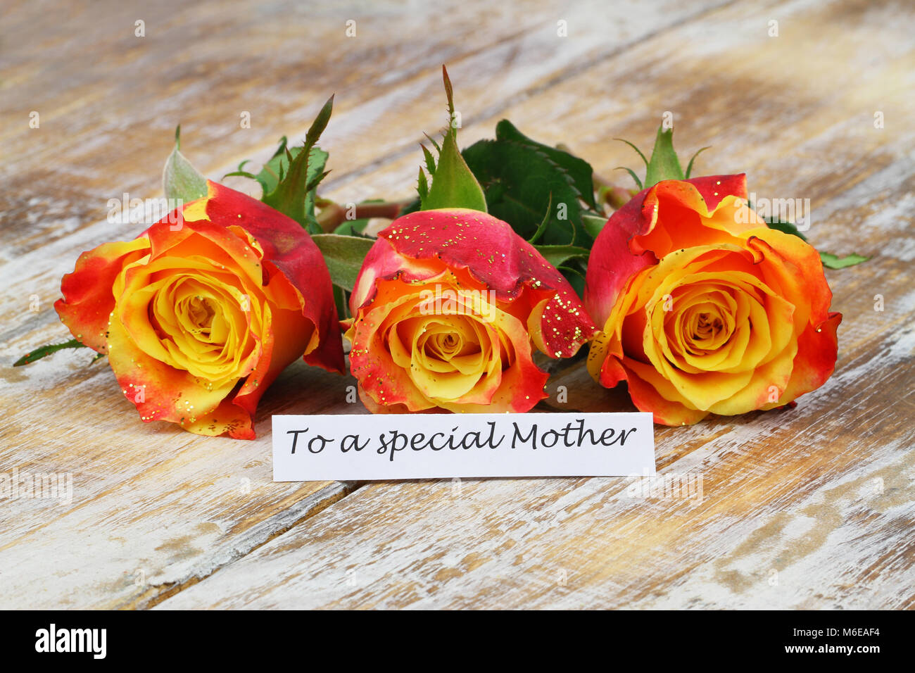 Per una speciale scheda madre con tre rose colorata sul rustico superficie in legno Foto Stock
