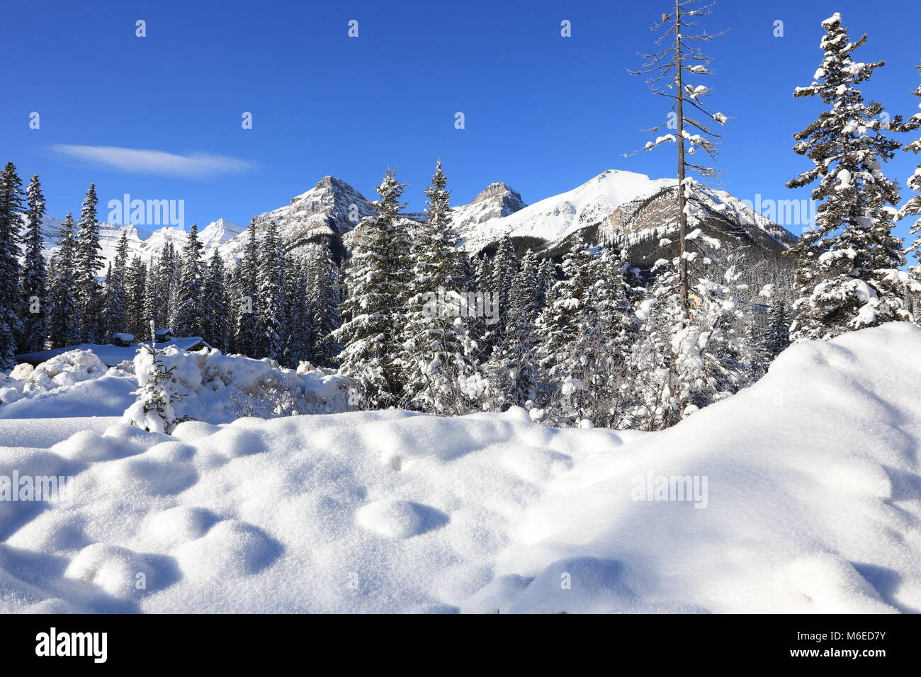 Paesaggio invernale in Canada Foto Stock