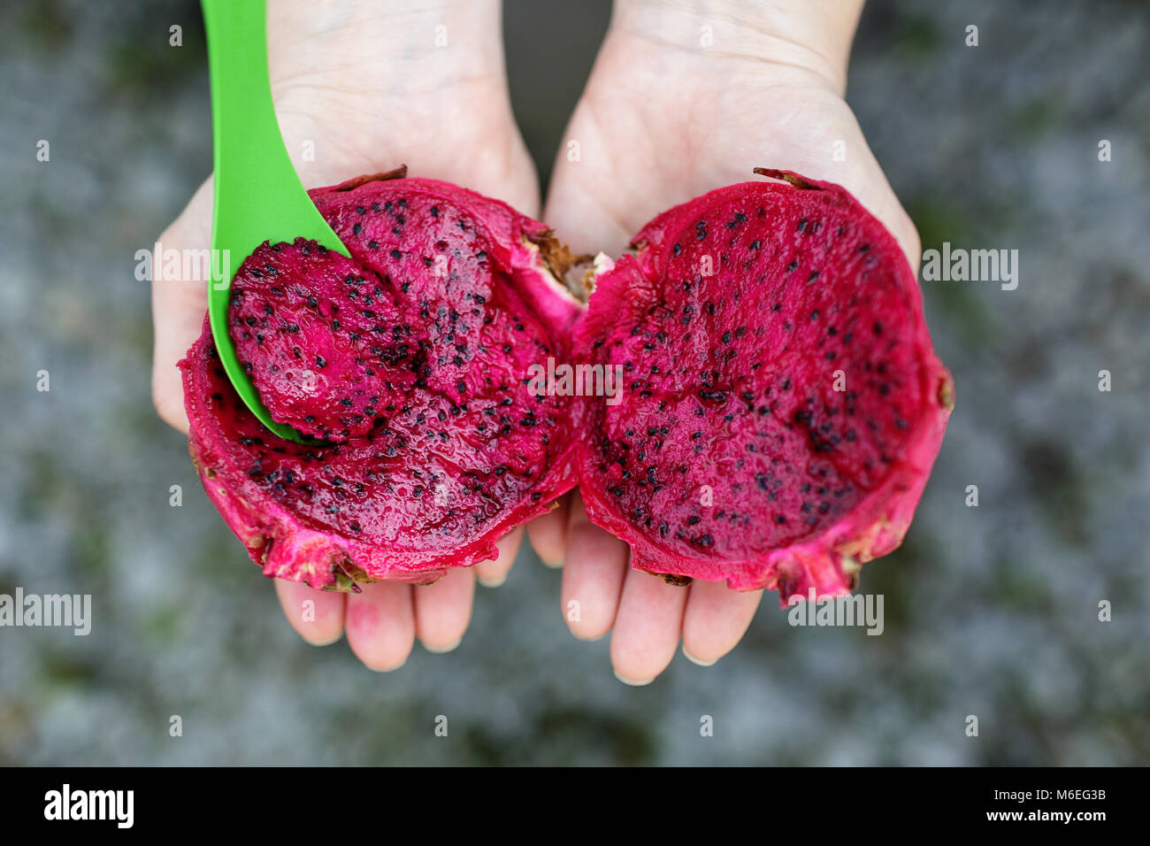 Tagliare frutta drago in mani di bambini, malesia Foto Stock
