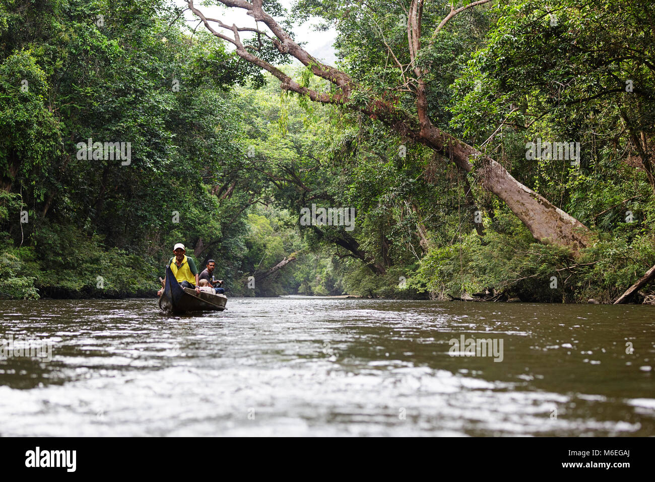 Guidi locali e turisti in barca tradizionale che galleggia sul fiume Tahan, Taman Negara National Park, Malesia Foto Stock