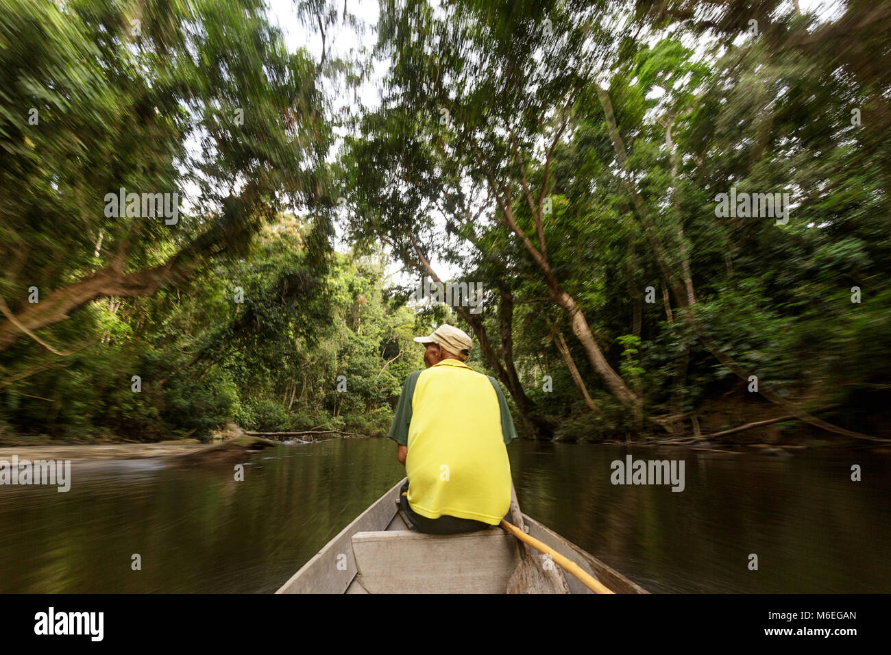 Guida locale su barca tradizionale che galleggia sul fiume Tahan, il parco nazionale Taman Negara, Malesia Foto Stock