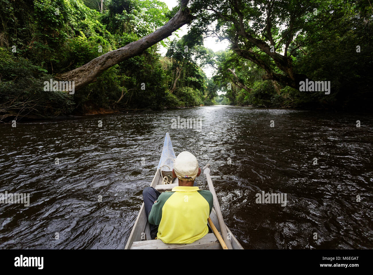Guida locale su barca tradizionale che galleggia sul fiume Tahan, il parco nazionale Taman Negara, Malesia Foto Stock