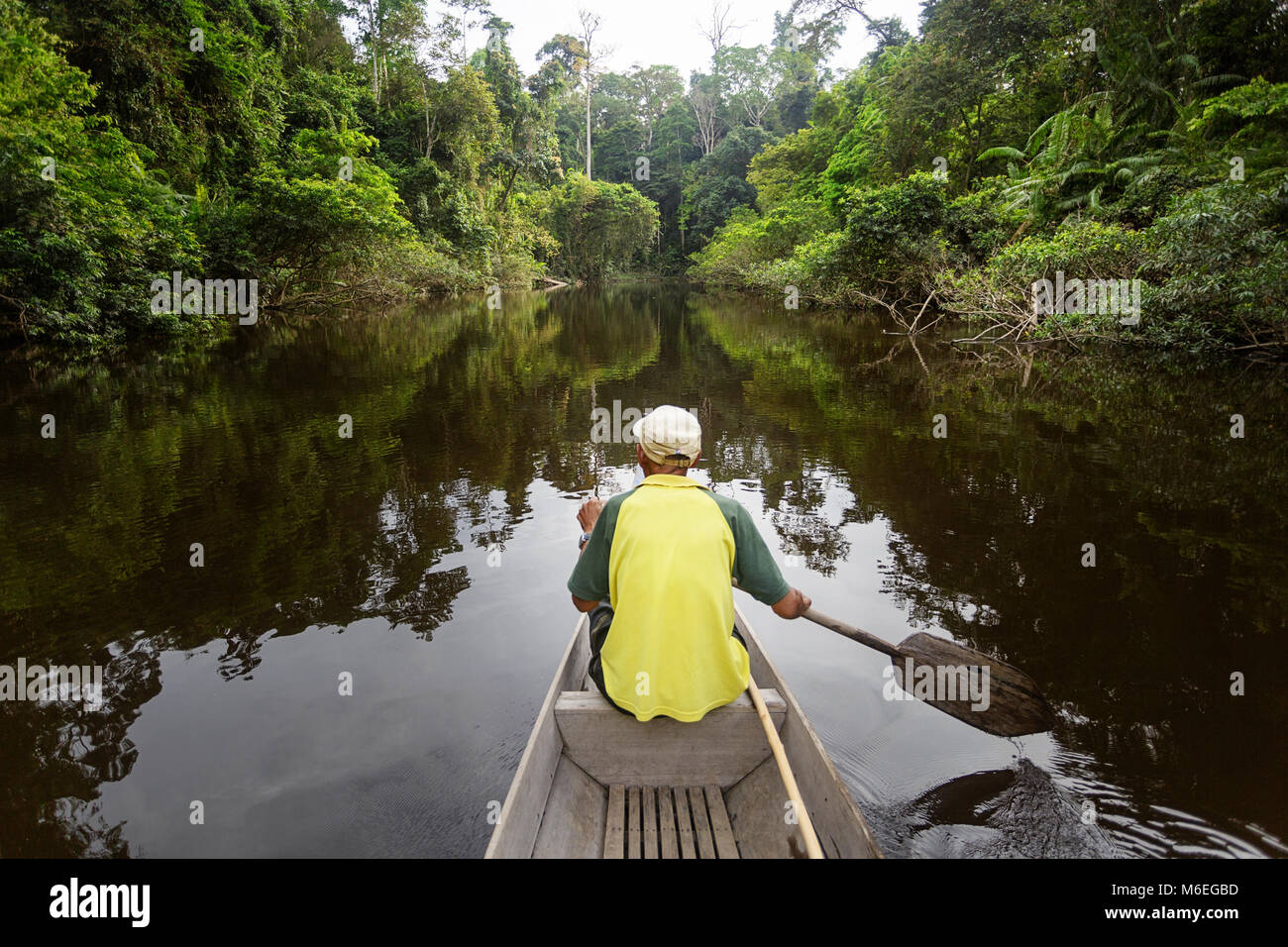 Guida locale su barca tradizionale che galleggia sul fiume Tahan, il parco nazionale Taman Negara, Malesia Foto Stock