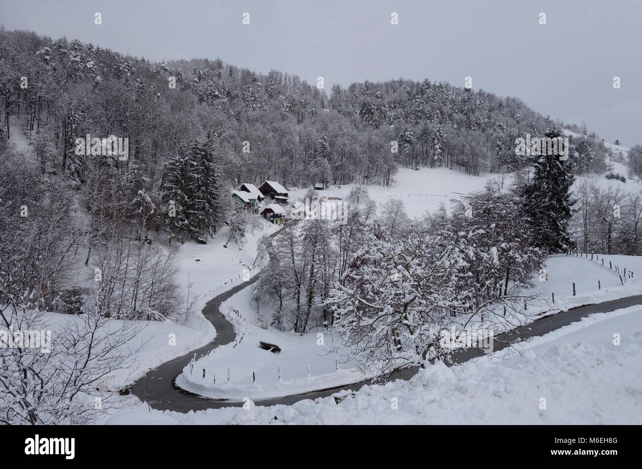 Paesaggi innevati con un homesteade nella stagione invernale. Savinjska ; regione Stajerska (Steiermark) Slovenia Foto Stock