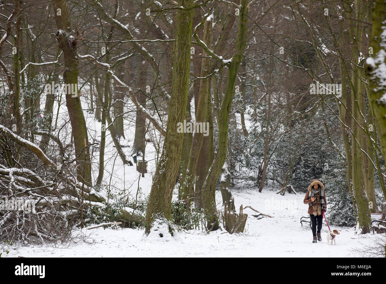 La 'Bestia da est' grave il freddo e la neve fine febbraio e inizio di marzo 2018 Foto Stock