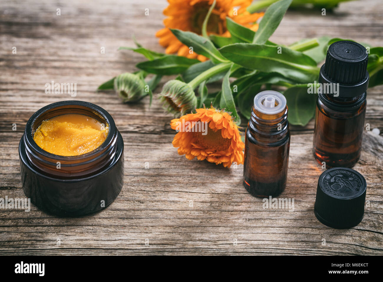Calendula prodotti. Olio essenziale e un unguento su una tavola di legno, fresche blooming calendula sfondo, Foto Stock