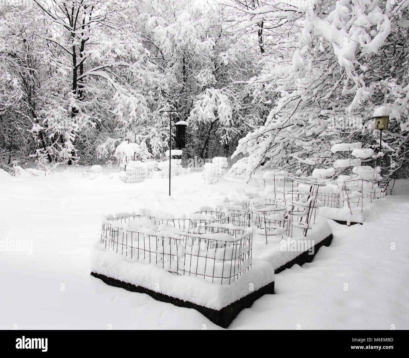 Backyard e foresta coperta di neve dopo una tempesta di neve Foto Stock