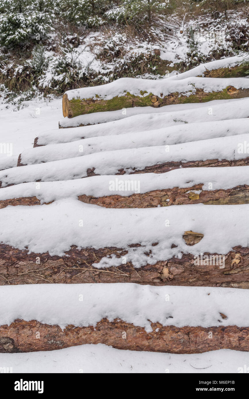 Pila di registri di grandi dimensioni coperte da neve durante il 2018 'Bestia da est' vortice polare tempeste di neve. Foto Stock