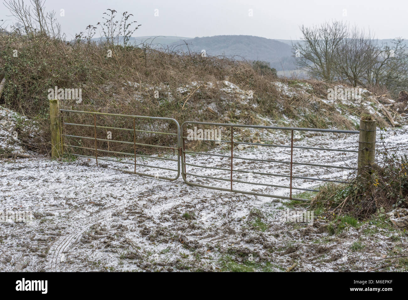 Cancello di fattoria di metallo durante le condizioni nevose del 2018 'Bestia da Est'. Cancello chiuso sul campo. Foto Stock