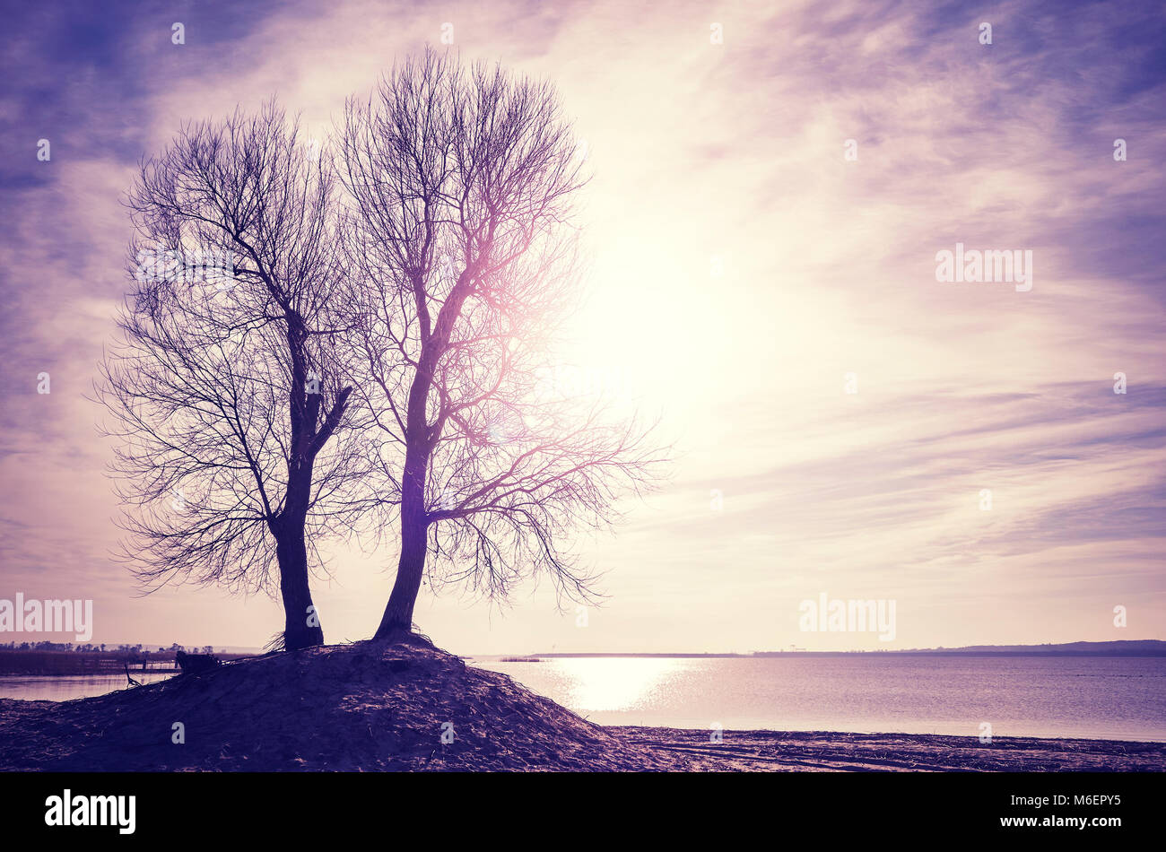 Twin alberi sagome su una riva di un fiume al tramonto, dai toni di colore dell'immagine. Foto Stock