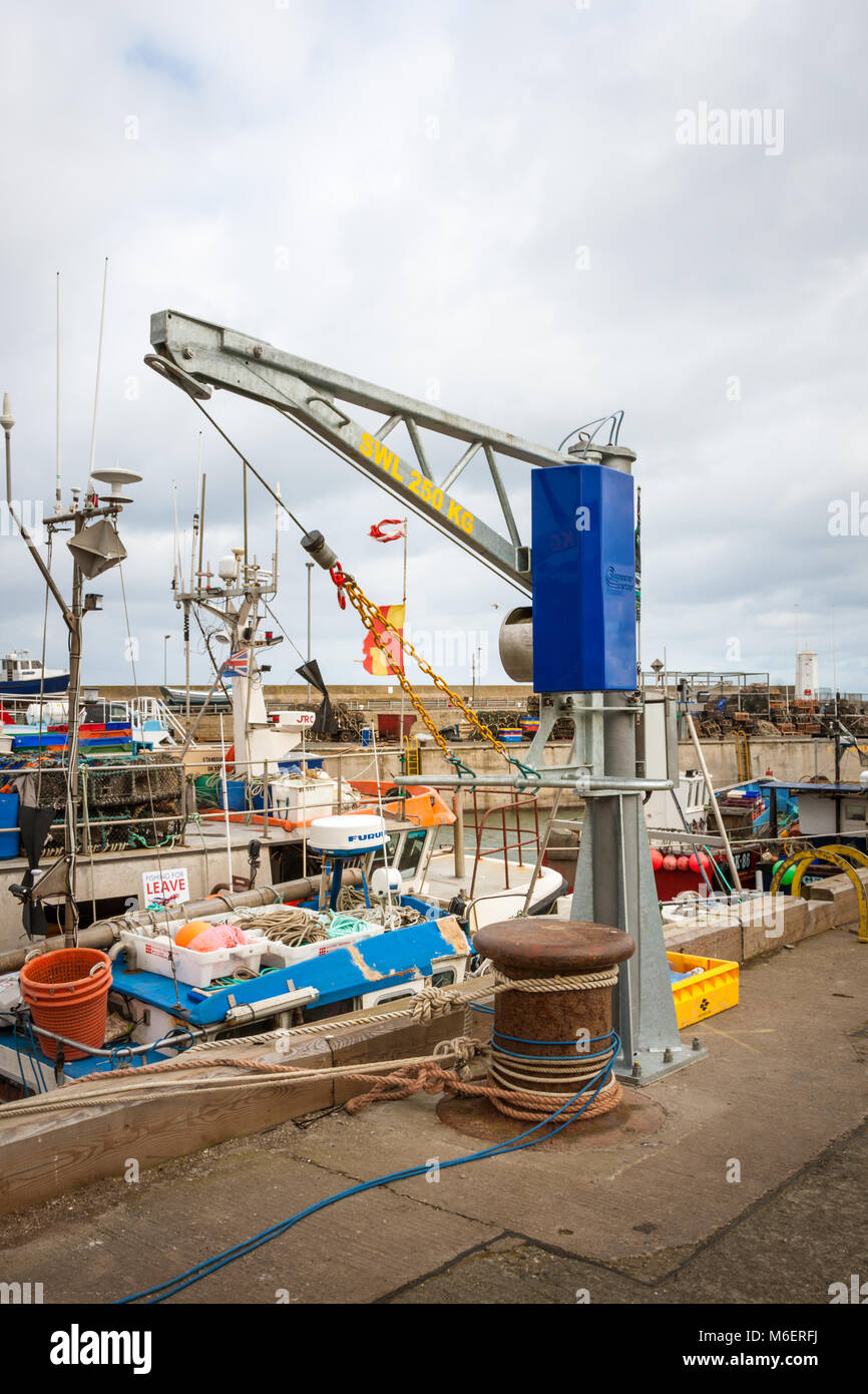 Moderne gru usate per alaggio catture di pesca sul porto, Seahouses REGNO UNITO Foto Stock