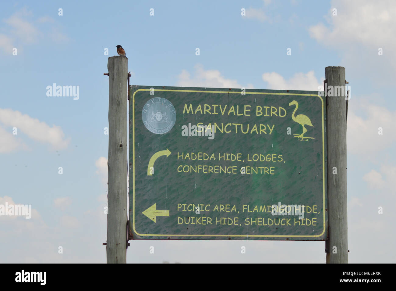 Marievale Bird Sanctuary in Nigel - Sud Africa , un famoso e gratuito a prendere belle foto di uccelli. Foto Stock