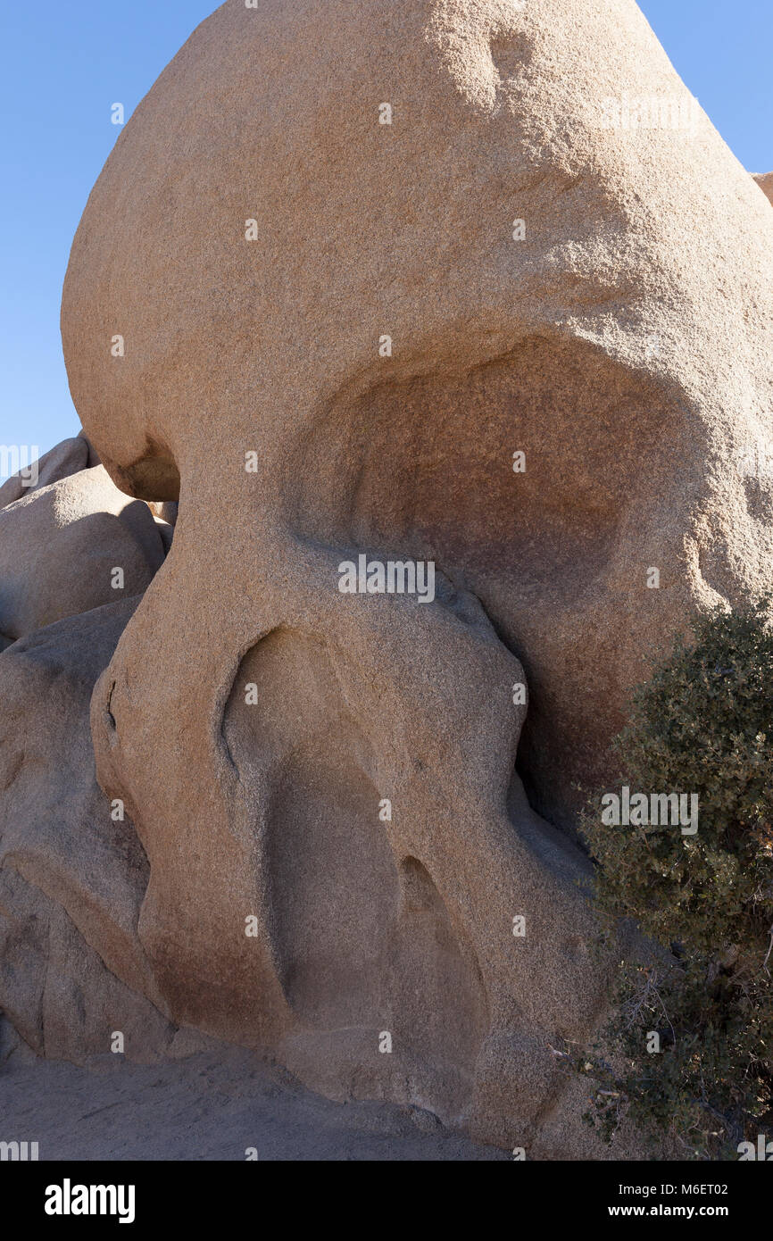 Joshua Tree National Park, California: punto di riferimento formazione rocciosa conosciuta come Skull Rock. Foto Stock