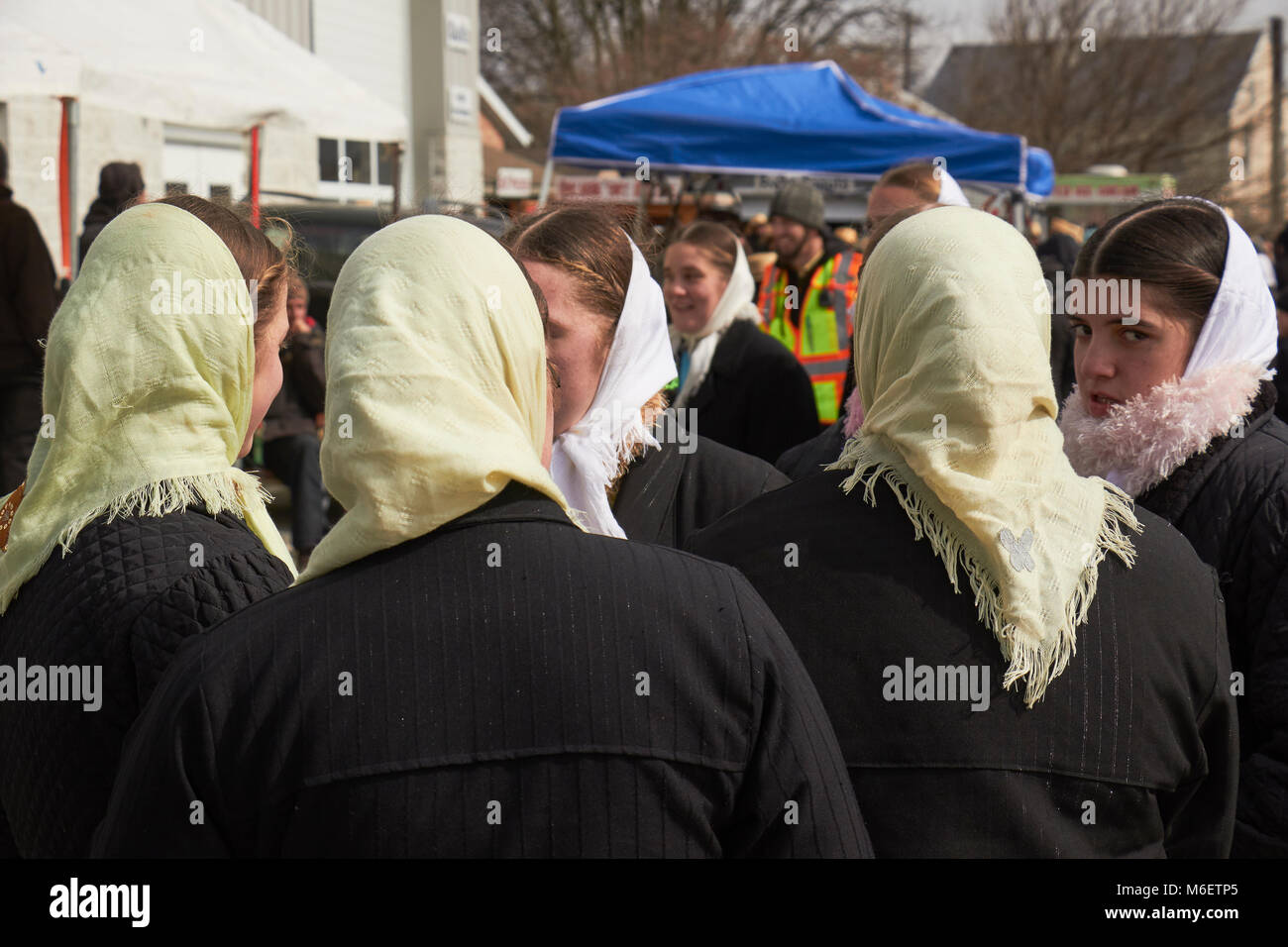 La folla ad un tipico festival Amish denominata "ud vendita.' Lancaster County, Pennsylvania, STATI UNITI D'AMERICA Foto Stock