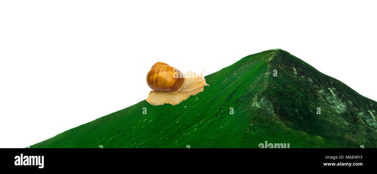 Concetto di arrampicata di lumaca un big mountain top Foto Stock