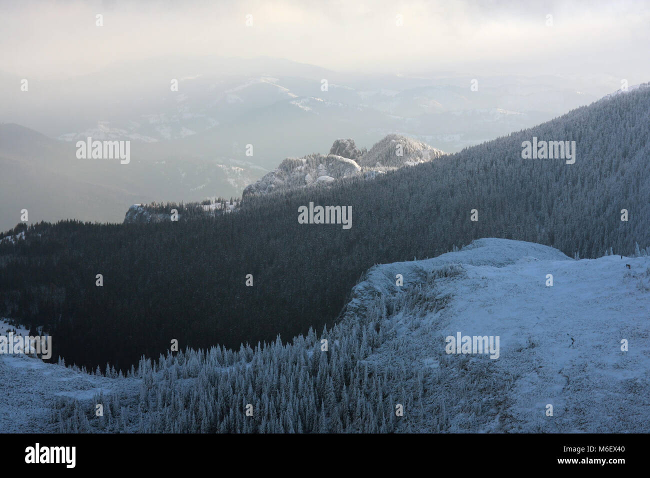 Paesaggio invernale in montagna Ceahlau, Carpazi romeni Foto Stock
