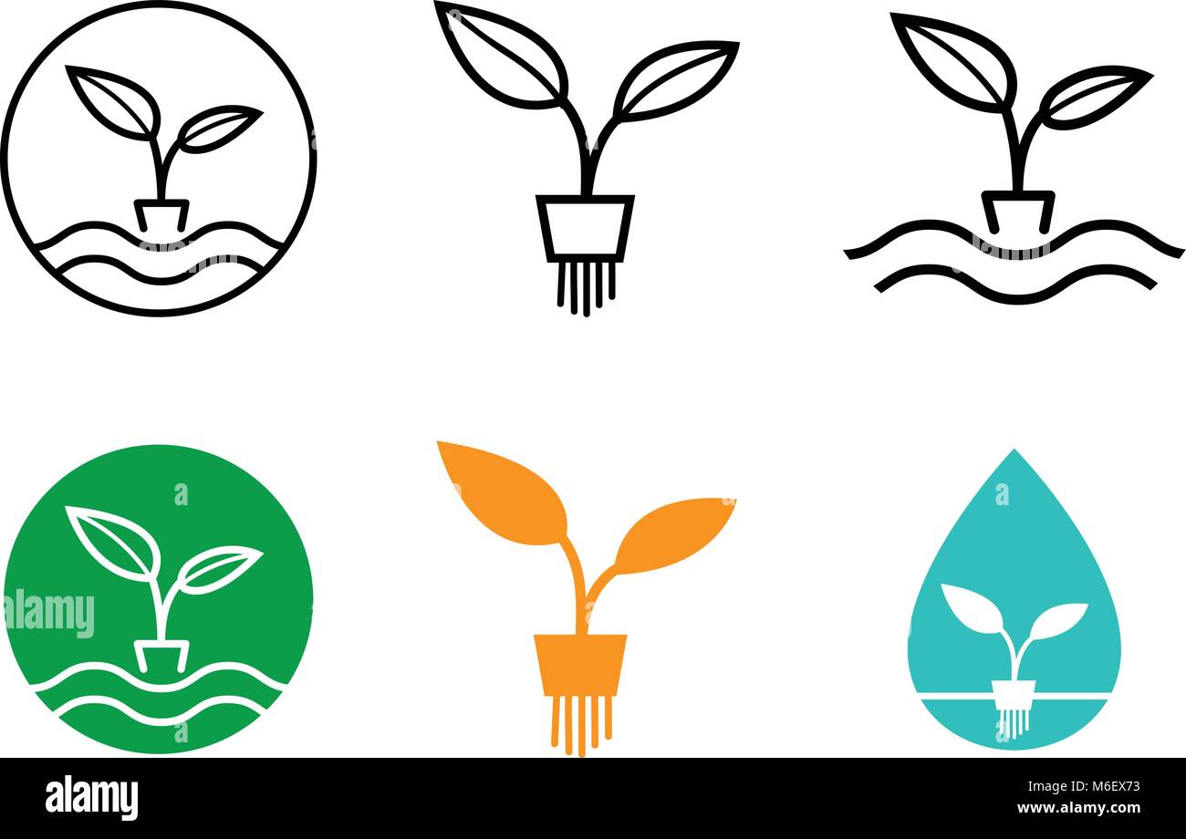 Hydroponics di piante e il logo di Symbol, vector art design Illustrazione Vettoriale