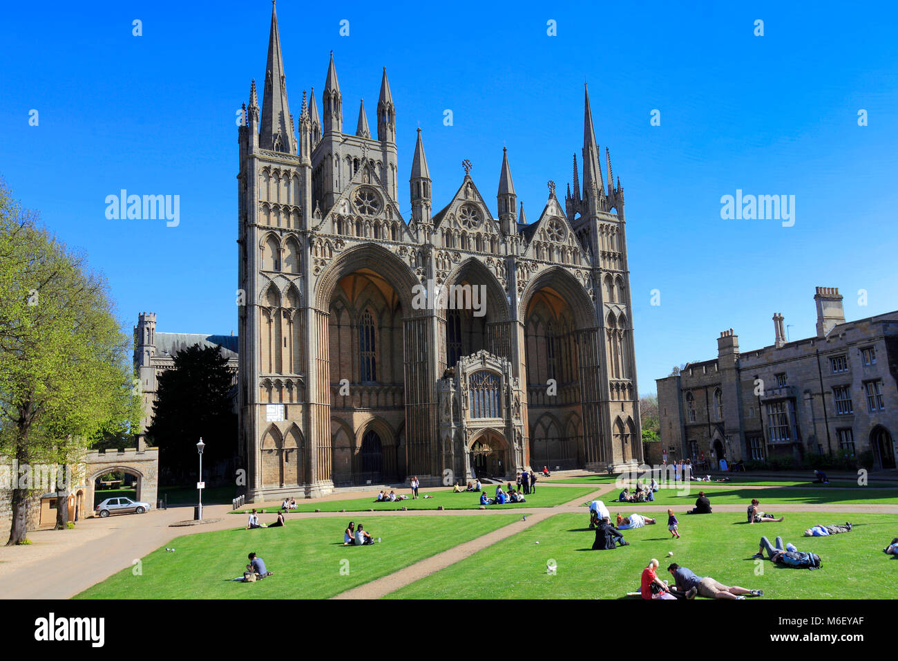 Chiostro della Cattedrale e la facciata sud della città di Peterborough Cathedral, Cambridgeshire; Inghilterra; Gran Bretagna; Regno Unito Foto Stock
