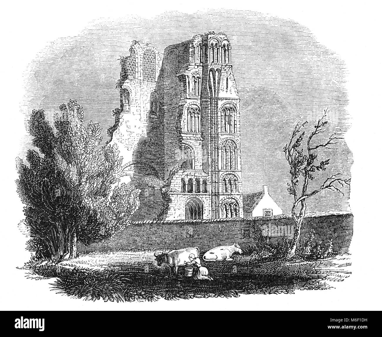 Le rovine di St Augustine's Abbey, un monastero benedettino in Canterbury Kent England. L'abbazia fu fondata nel 598, l'anno dopo Agostino è arrivato in Inghilterra anglosassone per convertire gli anglosassoni. Essa ha funzionato come un monastero fino al suo scioglimento nel 1538 durante la riforma inglese. Dopo l abbazia di dissoluzione, subì smantellamento fino al 1848, poiché quando una parte del sito è stata utilizzata per scopi didattici e rovine della abbazia sono stati conservati per il loro valore storico. Foto Stock