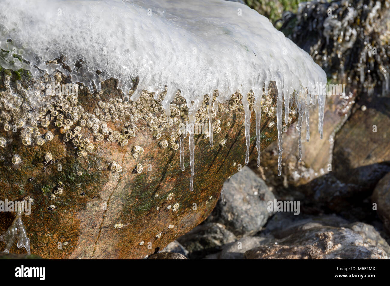 Coperti di ghiaccio pietra; groyne sulla spiaggia di Saeby, Danimarca Foto Stock