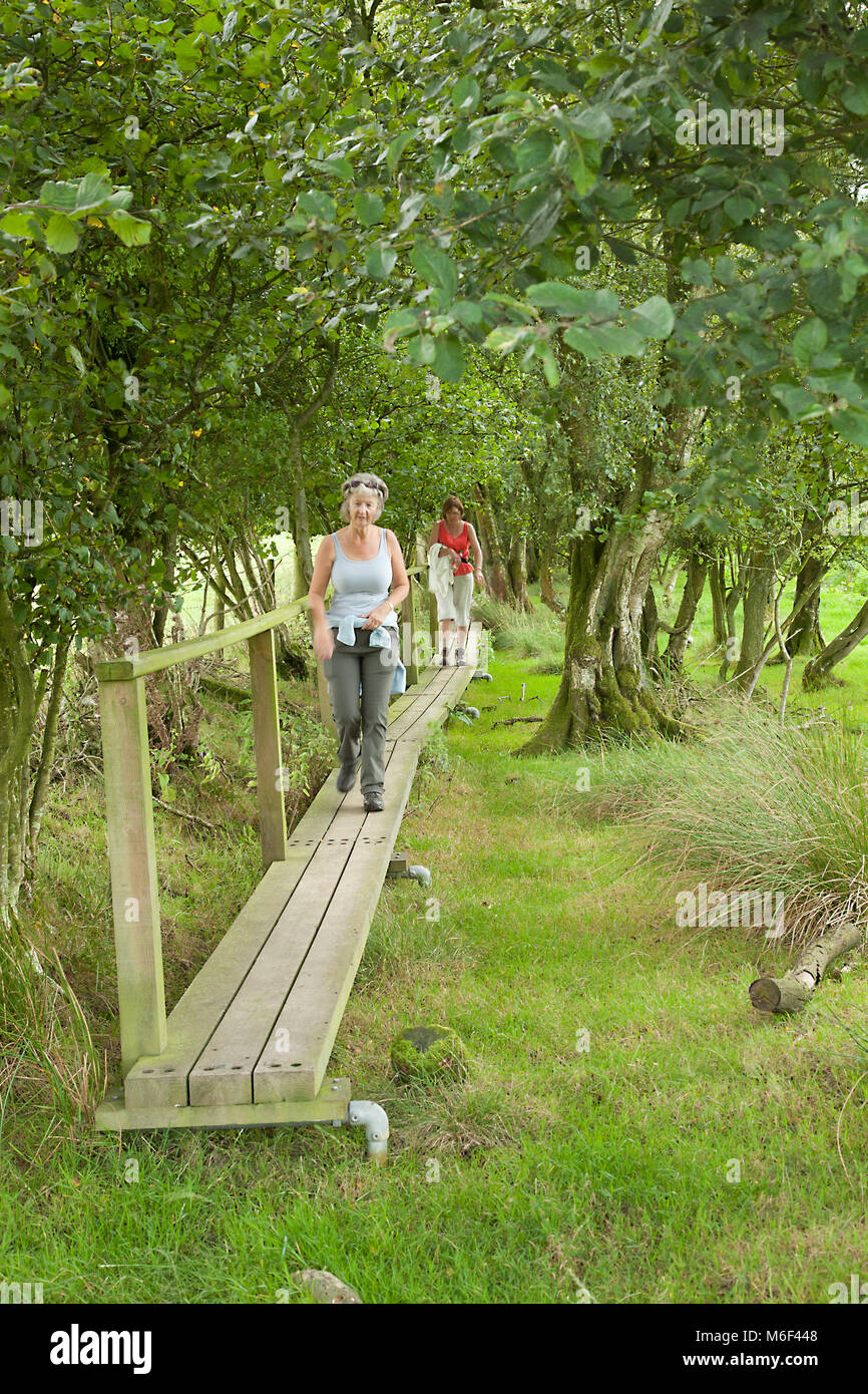 Due donne camminando sul Offa's Dyke lunga distanza sentiero sentiero vicino Gladestry Powys passeggiate in campagna Foto Stock